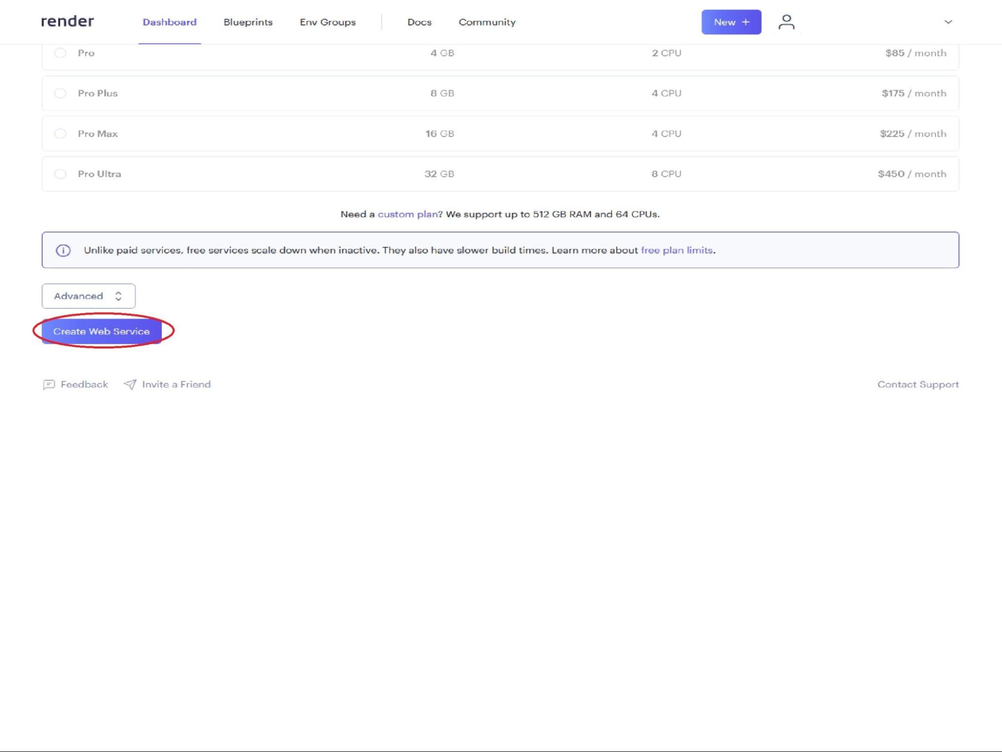 
        Create the server by clicking on the Create Web Service button
      