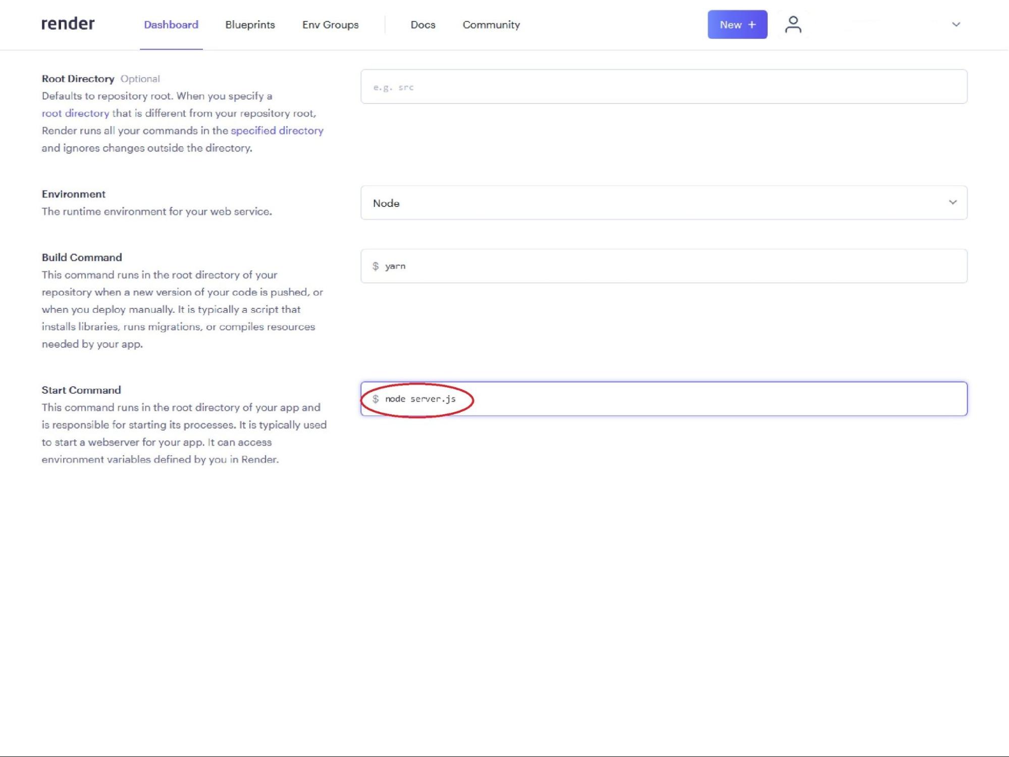 
        Provide a Start Command field for the new web service
      
